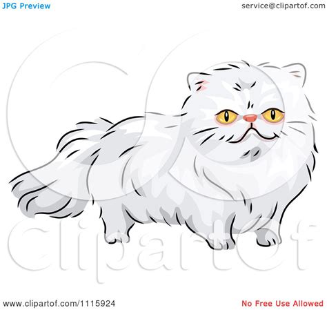 clipart long haired white persian cat royalty free vector