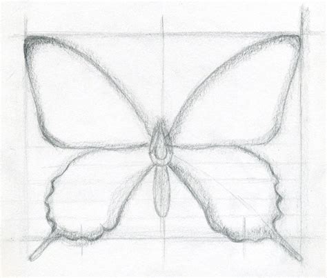 draw  butterfly surprisingly easy