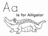 Alligator Coloring Pages Letter Printable Kids Template Tracing Crocodile Print Sheets Trace Preschool Color Sheet Lawteedah Alligators Baby Activity Printables sketch template