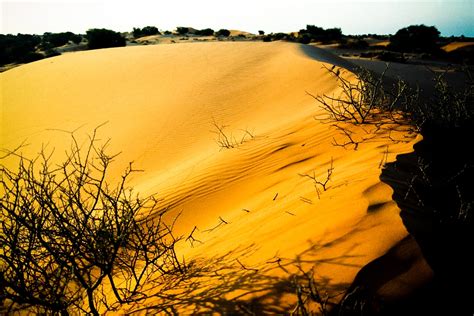 Kalahari Desert Namibia And Botswana