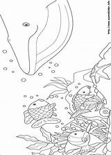 Regenbogenfisch Malvorlagen sketch template