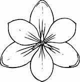 Jasmine Flower Drawing Clip Clipart Getdrawings sketch template