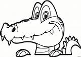 Alligator Coloring Pages Baby Silhouette Getdrawings sketch template
