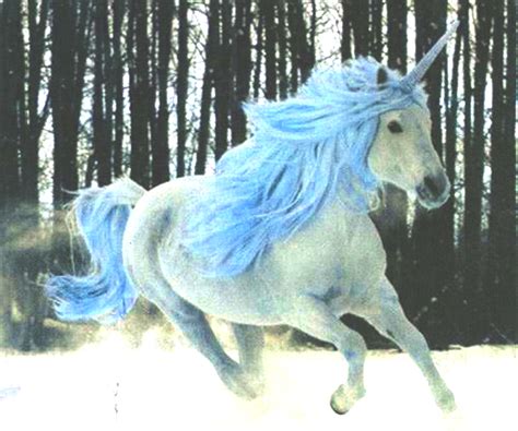 imgs  unicornio azul