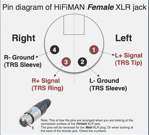 confirm  wiring  hifiman sundaras balanced  xlr headphone reviews