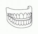 Teeth Coloring Pages Tooth Mouth Printable Drawing Vampire Colouring Dental Smile Shark Realistic Sheets Easy Print Getcolorings Color Getdrawings Dentist sketch template