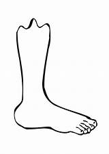 Foot Coloring Pages Colouring Leg Popular sketch template