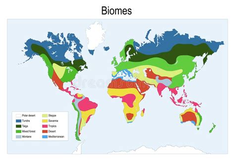 color map   main biomes   world stock vector illustration