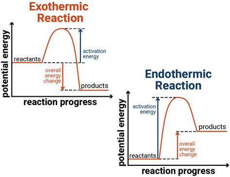 condensation endothermic  exothermic techiescientist