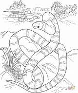 Coloring Snake Desert Pages Printable Python Animals Color Tiger Ball Rattlesnake Print Coral Drawing Long Big Animal Snakes Kids Mamba sketch template