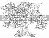 Coloring Bonsai Wishes Meadowhaven sketch template