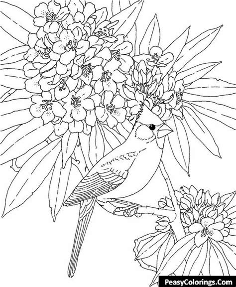 birds coloring pages  print  easy peasy colorings
