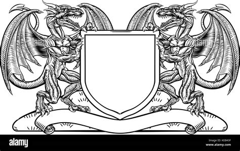 dragon heraldry crest coat  arms shield emblem stock vector image