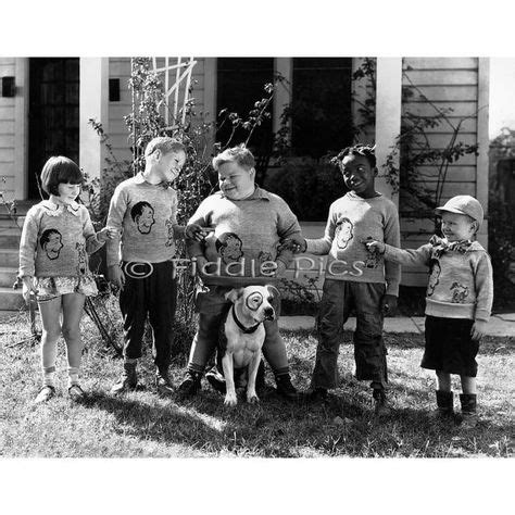 gang dog photograph vintage dog pitbull pictures