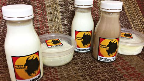 happy carabaos products put  premium  carabao dairy