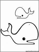 Ballenas Sperm Baleine Colorear Wal Ausdrucken Whales Gratuit sketch template