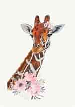 Image result for Giraffe Flowers. Size: 150 x 212. Source: www.etsy.com