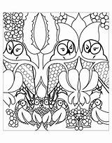 Colorare Gufi Disegni Adulti Owls sketch template