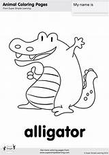 Alligator Coloring Crocodile After While Super Printables Simple Song Supersimple sketch template