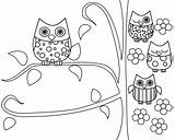 Owl Coloring Pages Printable Cute Owls Color Kids Adults Adult Para Animals Print Sheets Sheet Drawing Branch Draw Clip Cartoon sketch template