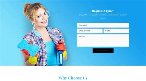 cleaning services landing page design fagowi    easy digital marketing