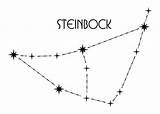 Steinbock Sternbild Sternzeichen Sternbilder Sterne Wandtattoo Capricorn Pinnwand Kaynak Mytripdiary sketch template
