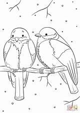 Winter Coloring Birds Pages Bird Printable Drawing Christmas Feeder Supercoloring Colorings Colouring Vogel Vögel Kolorowanka Tiere Animal Color Printables Der sketch template