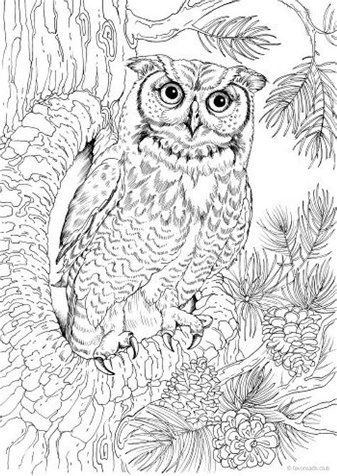 pin  coloring pages