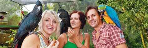 birdworld kuranda australian bird sanctuary north queensland atherton tablelands rainforest