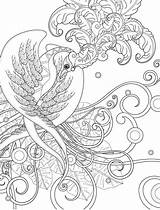 Coloring Pages Adult Birds Sagittarius Printable Gorgeous Print Bird Book Paradise Colouring Mandala Color Paisley Getcolorings Books Colored Choose Board sketch template