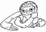 Sloth Coloring Croods Pages Belt Toed Three Drawing Cute Easy Clipart Color Printable Kids Sloths Baby Two Kidsplaycolor Getdrawings Print sketch template