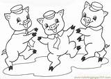 Pigs Cerditos Porquinhos Drie Bailando Cochon Wolf Varkies Coloriage Chanchitos Animaux Puppet Goldilocks Piglet Cei Colorat Purcelusi Cuento Pintar Sprokie sketch template