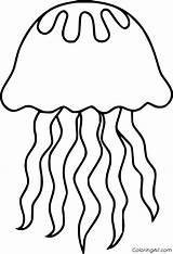 Jellyfish Coloringall sketch template