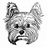 Yorkie Terrier Peeking Dessiner Cachorro Animaux Purebred Clipartmag Yorkies Face Colorare Grafika Pedigree Getdrawings Crayon Porcelaine Broderie Portraits sketch template
