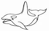 Whale Killer sketch template