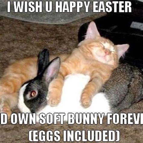pin by prince s consultancy services on instagram funny easter memes