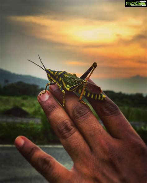 vikrant massey instagram goodbyemonsoon mrhopper nature colour shukr gethu cinema