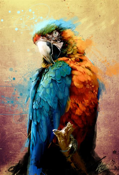 parrot  portrateseven  deviantart