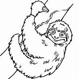 Sloth Sid Xcolorings Female Toed sketch template