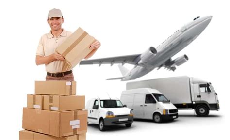 great courier service qeedle