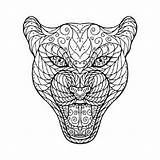 Jaguar Mandala Giaguaro Panther Zentangle Groviglio Testa Jaguars Illustrationen sketch template