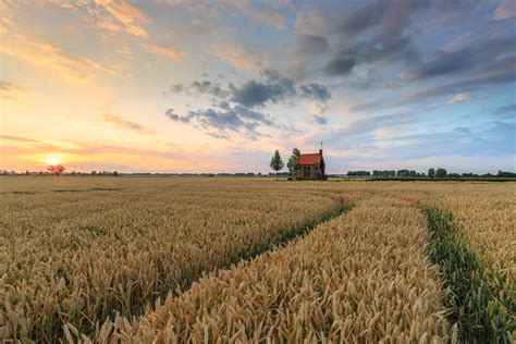 zomer landschap fotograferen bij het graanveld nldazuu fotografeert blauwe uur fotografie van