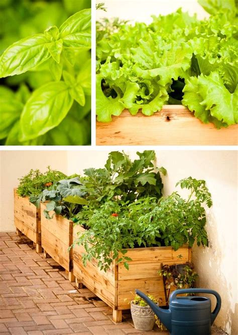 raised vegetable planter boxes woodworking projects plans