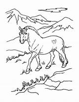 Coloring Pages Pinto Horse Getdrawings sketch template