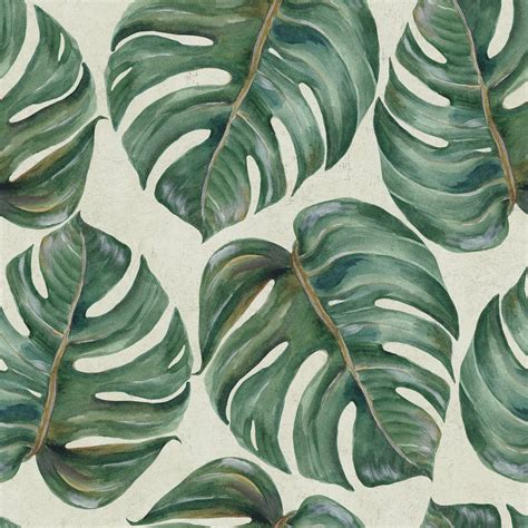 tropical leaf wallpaper set   rolls  lime lace
