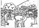 Coloring Pages Collage Animal Getcolorings Forest Animals Color sketch template