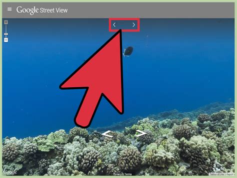 underwater  google maps  steps  pictures