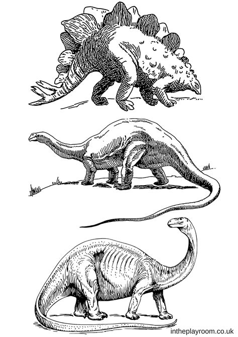 dinosaur colouring pages   playroom