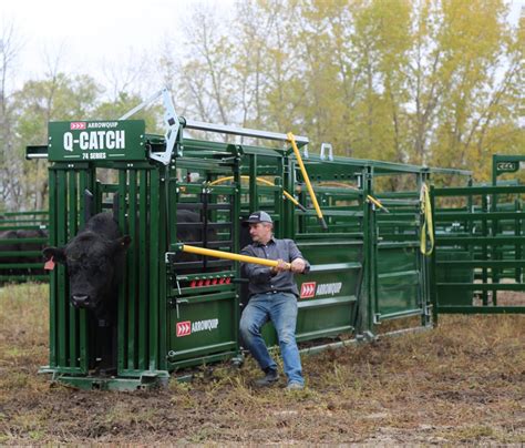 practical  portable cattle handling systems agdaily