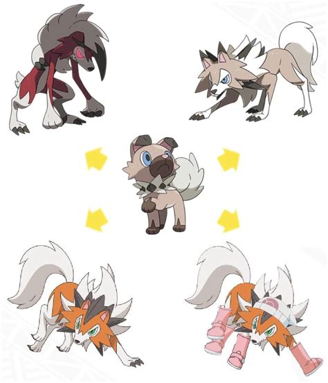 watching  anime   realized lycanroc  needed  dawn